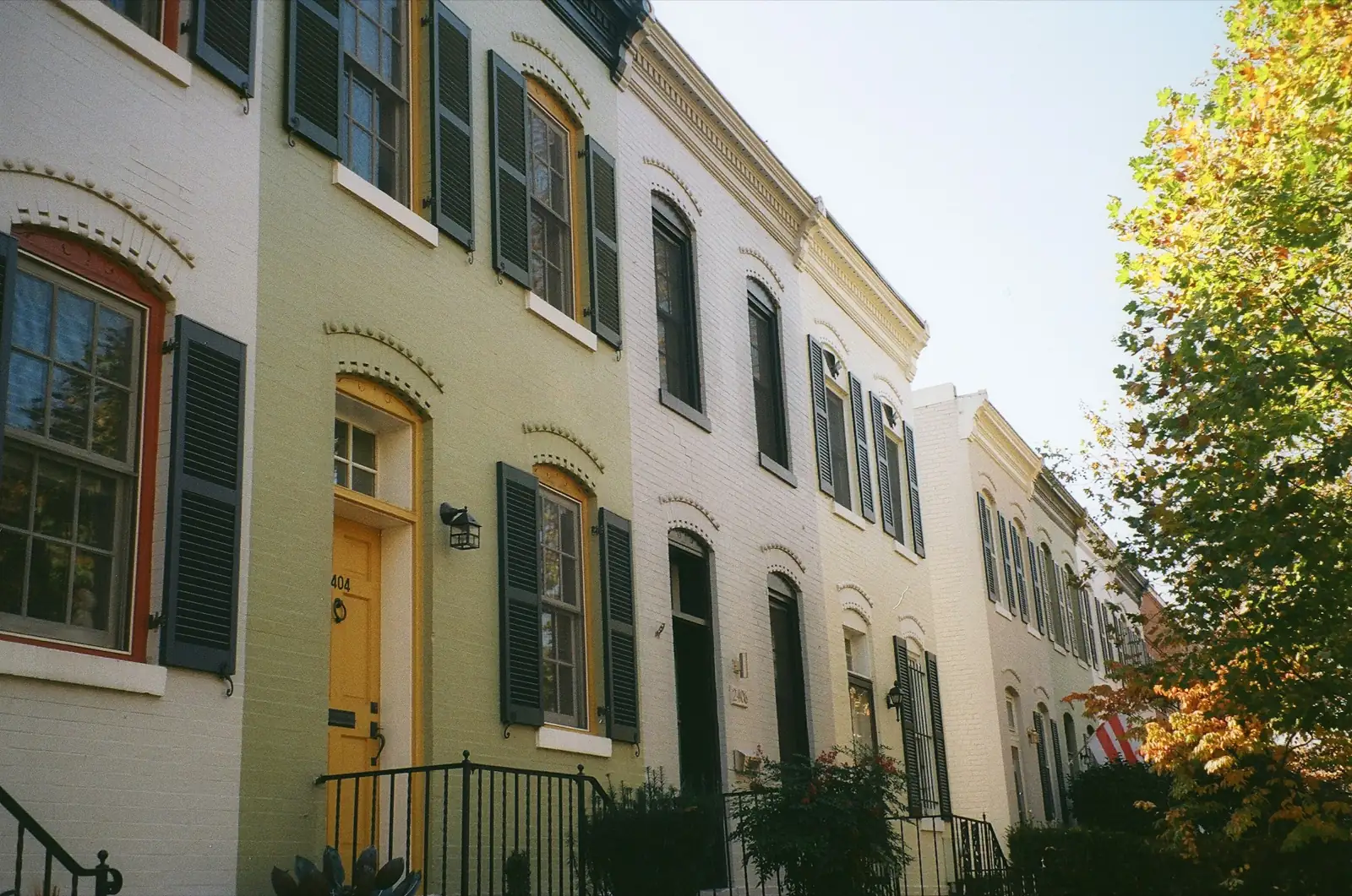 Row of pale painted brick townhouses with dark shutters and a yellow front door on a tree-lined Georgetown street in autumn light