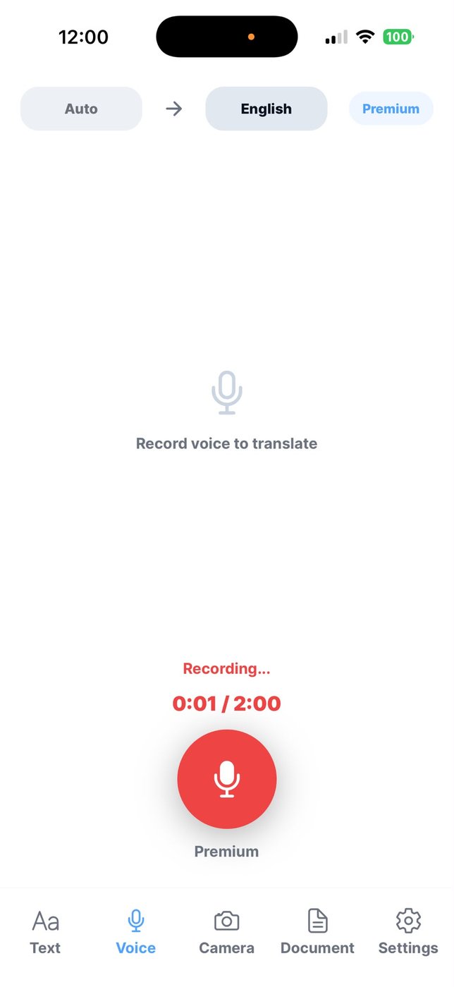 Speak to translate